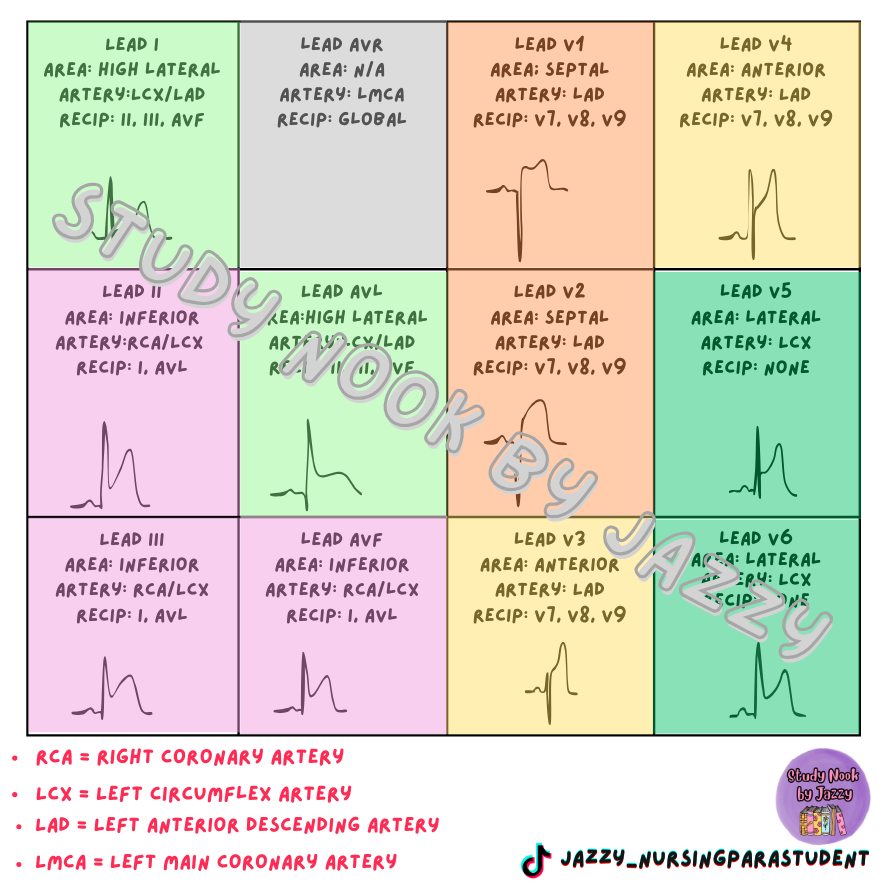 Nursing and Paramedicine Sticker Bundle