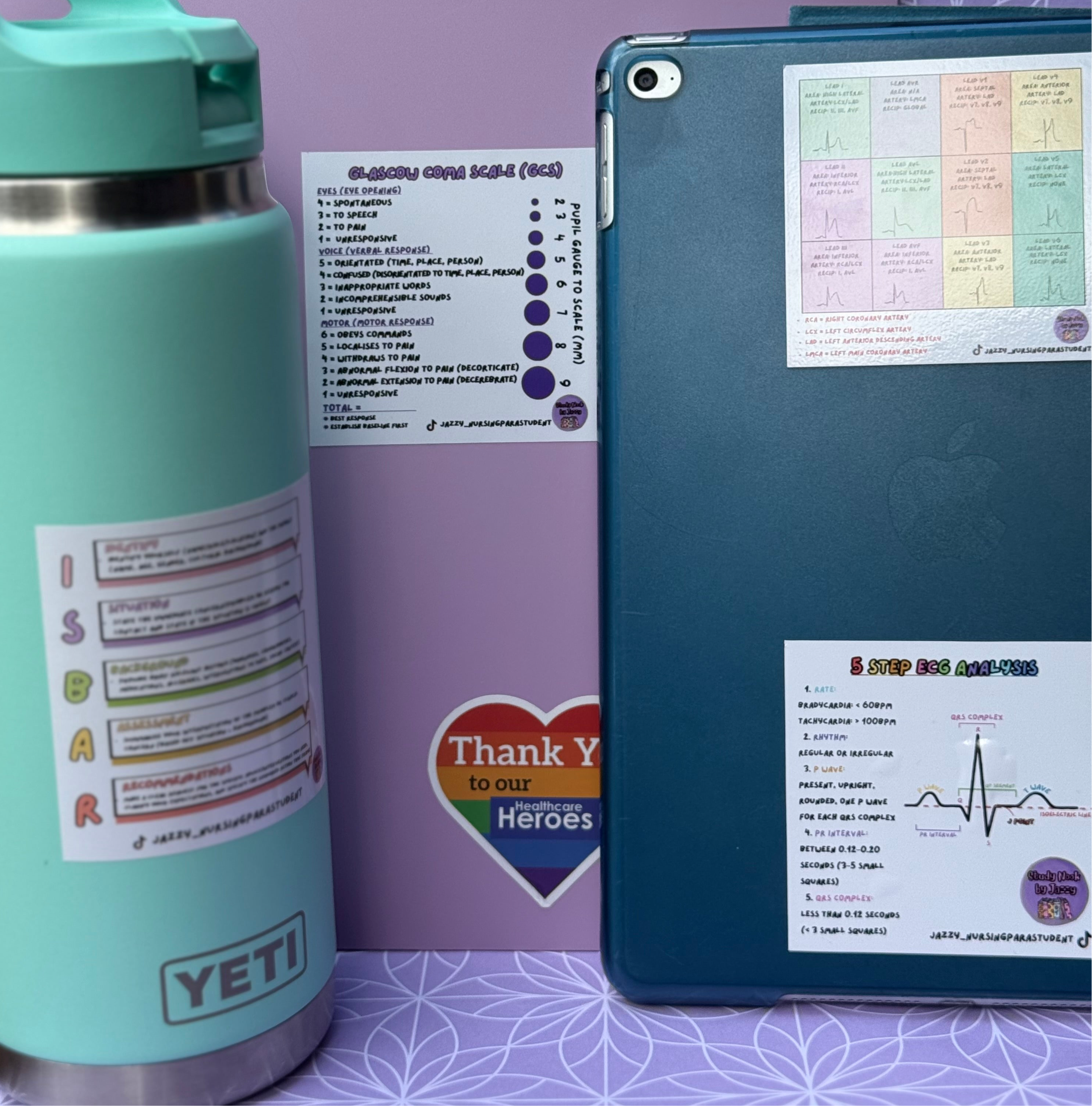 Ultimate Placement Study Guide 4-Sticker Pack