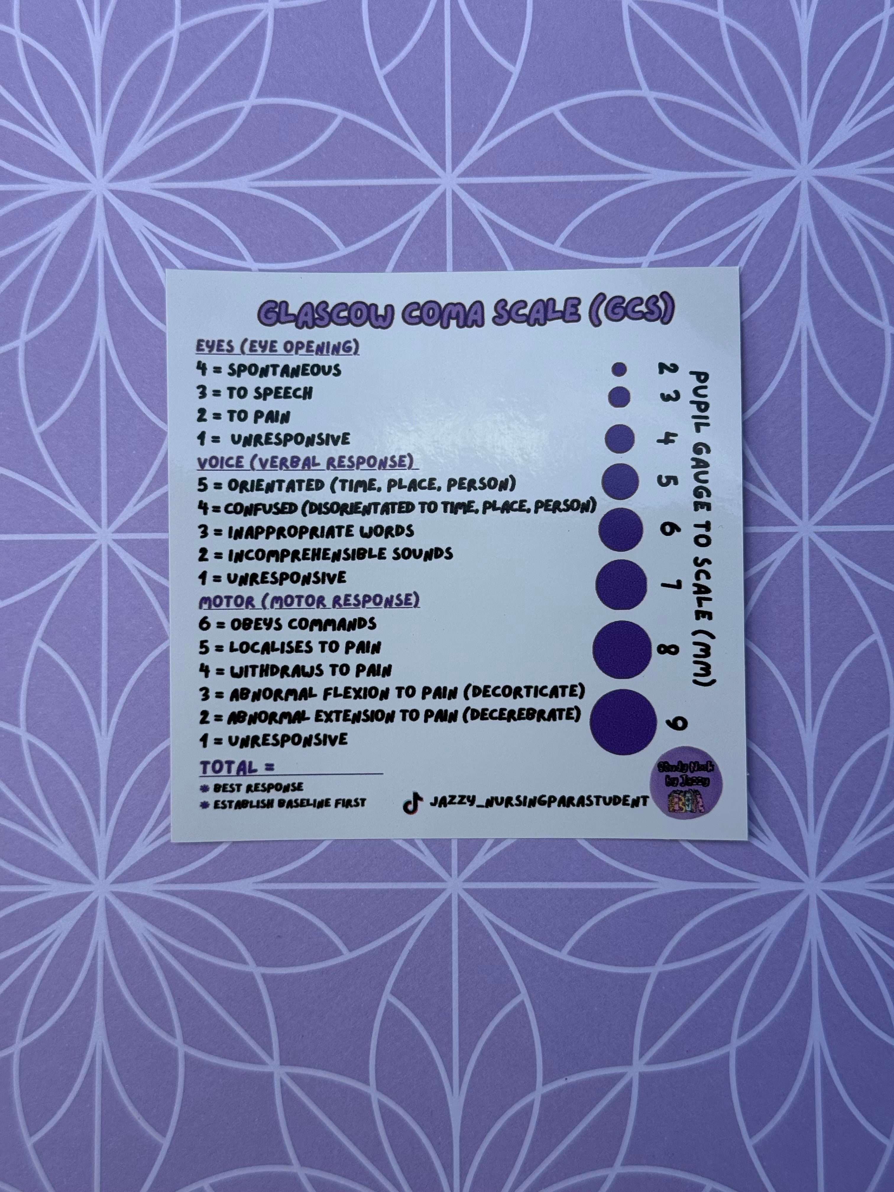 Ultimate Placement Study Guide 4-Sticker Pack