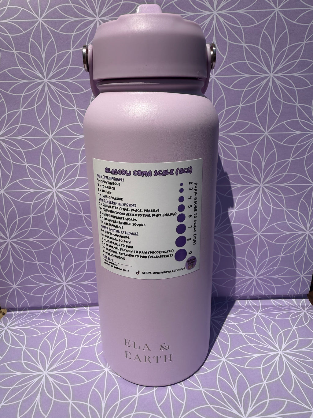 Ultimate Placement Study Guide 4-Sticker Pack