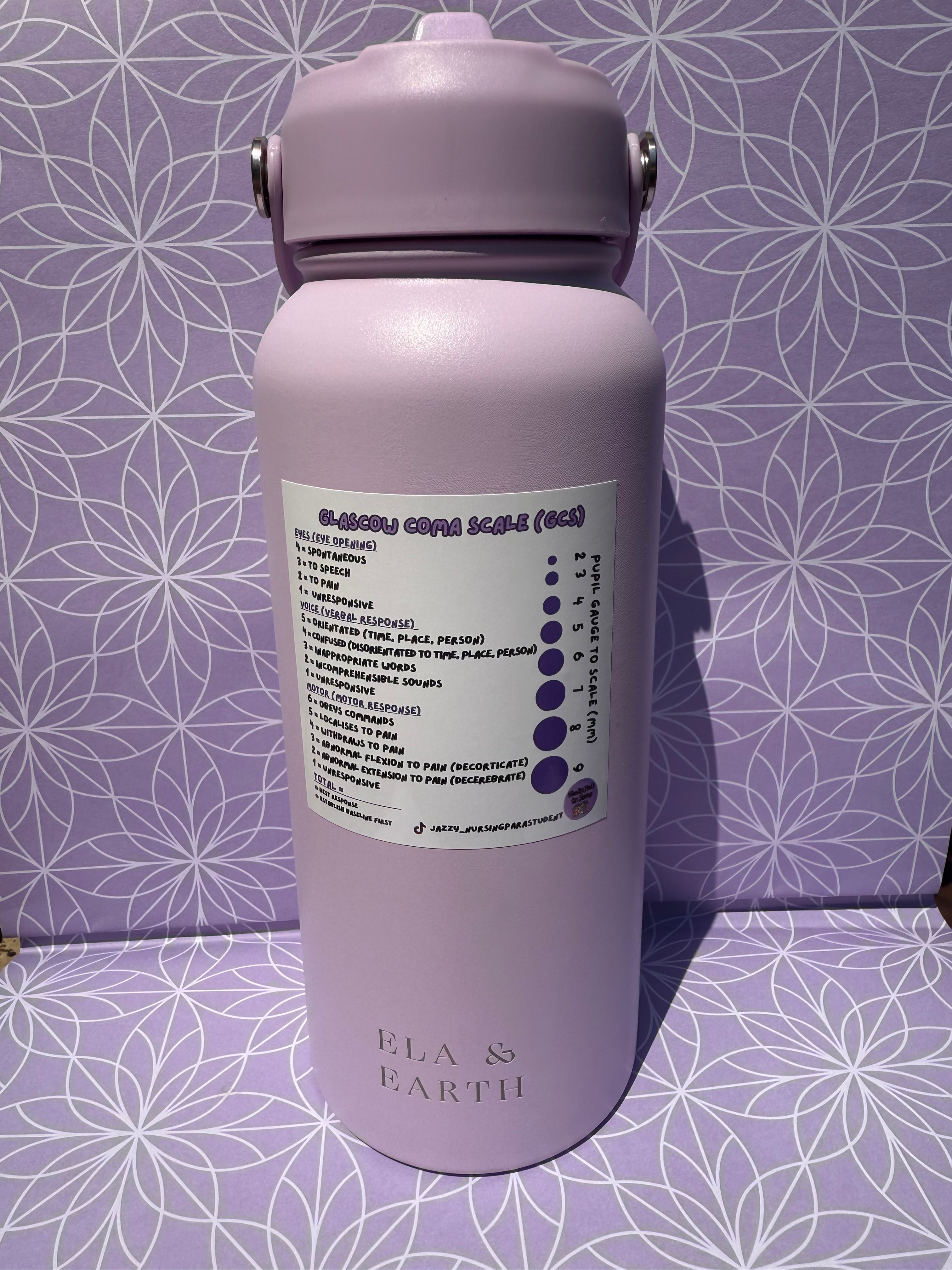 Ultimate Placement Study Guide 4-Sticker Pack